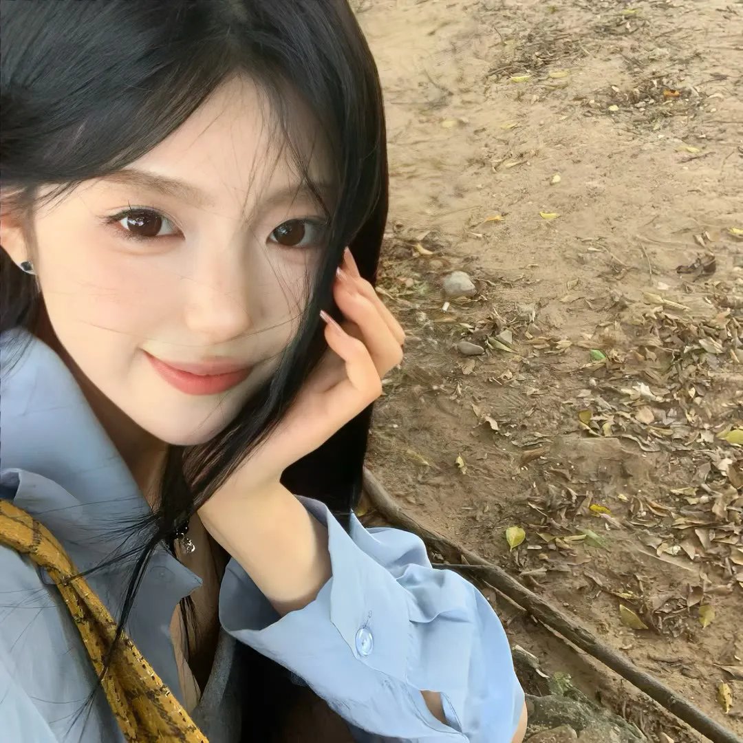 玫瑰的战争